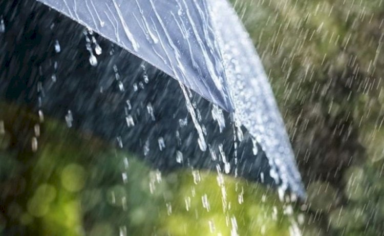 Демалыс күндері жауын жауады