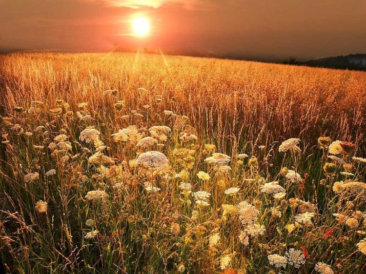 Бүгін үш өңірінде 41  градусқа дейін ыстық болады