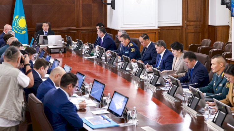 Премьер-Министр Қарағанды облысында балалардың улануына кінәлілерді анықтауды тапсырды