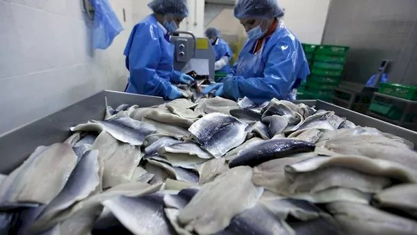 194 мыңнан астам қазақстандық шетелде жұмыс істейді