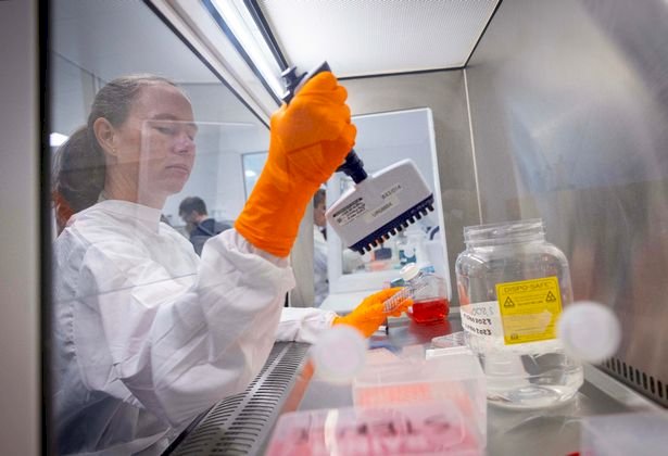 Ғалымдар әлемде пандемия қайталануы мүмкін деп қауіптенеді