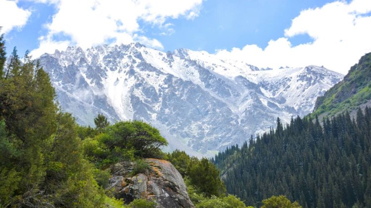 Отандық мамандар Тянь-Шань мұздықтарын зерттемек