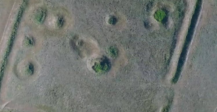 ІІМ заңсыз айналымнан 8,5 тоннадан астам есірткі тәркіледі