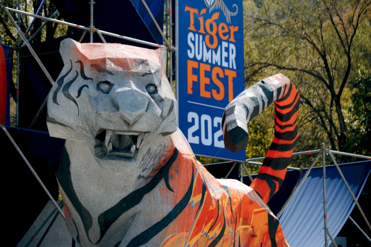 «Өзіңді аш — TIGER-ді аш!»