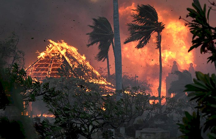 Мауидегі орман өртінен 53 адам қаза тапты