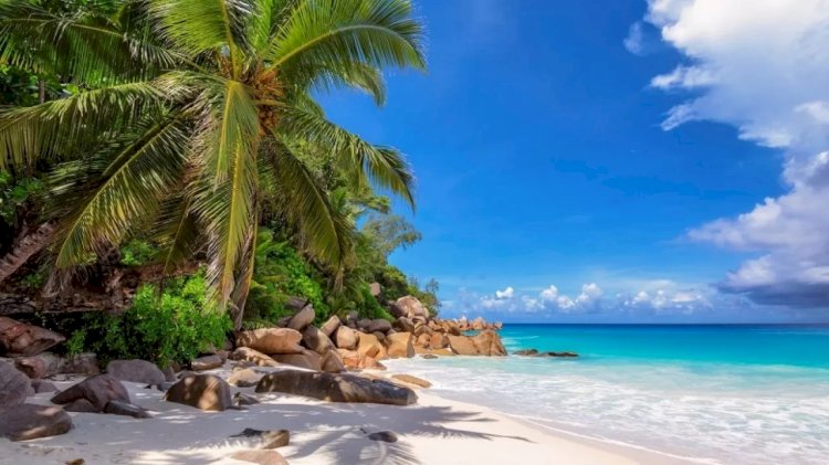 Мальдив аралдарына 85% жеңілдікпен қалай баруға болады?