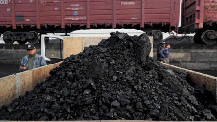 Биыл елімізде қанша көмір өндірілді