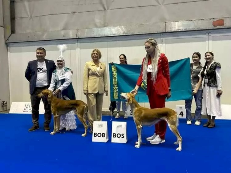 Иттер ерекше титулға ие болды