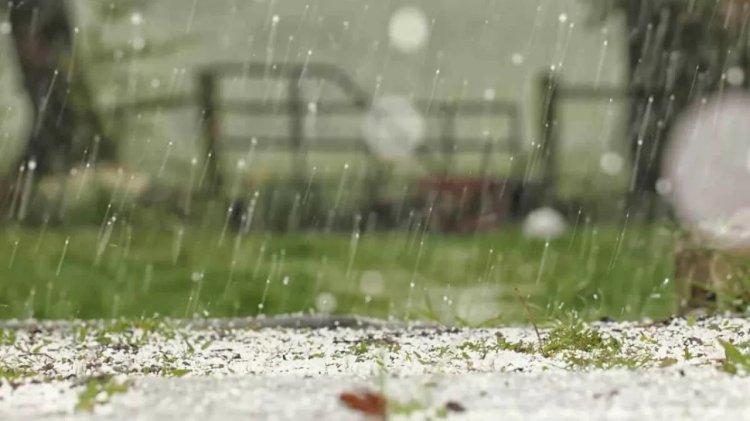 30 тамызға арналған ауа райы болжамы