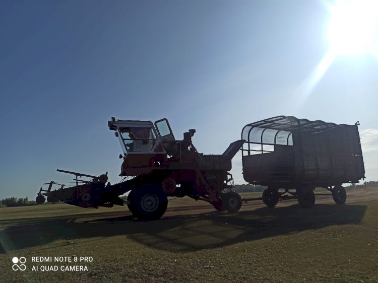 Еліміздің бес өңірі қысқы мал азығын дайындап үлгермей жатыр