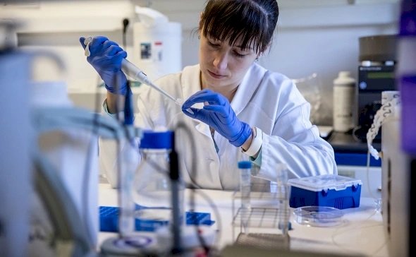 Коронавирустың жаңа түрі өршіп барады