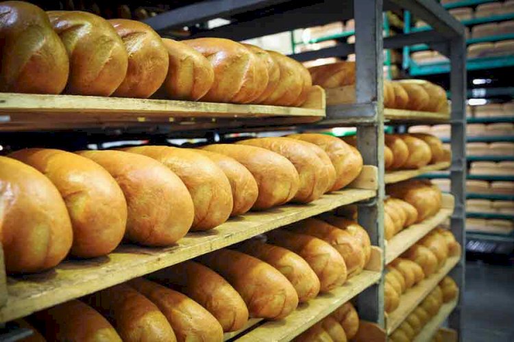 Елімізде нан өндірісі азайды