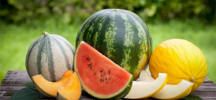 Еліміздің қауын-қарбызына Еуропада сұраныс бар