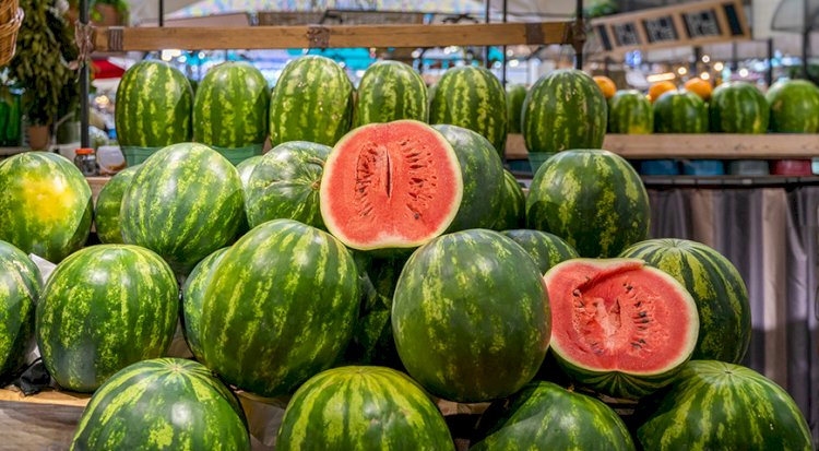 Қазақстанда қарбыз өспей ме?