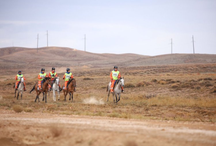 Арғымақ мінген арулар