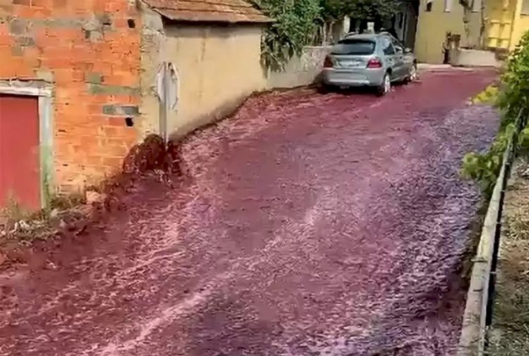 Португалияда қызыл шарап өзен боп ақты