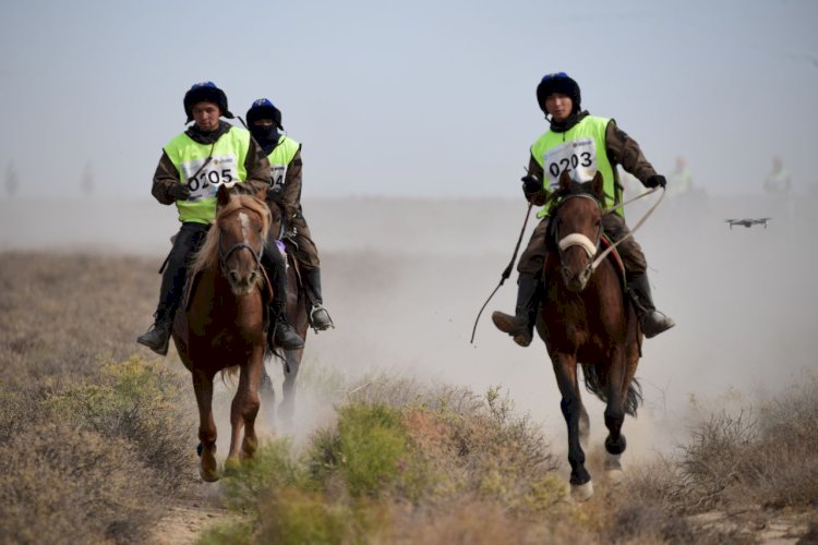 «Ұлы дала жорығы»: 10 кезең артта қалды