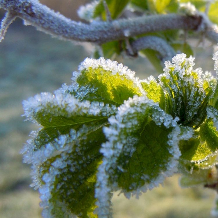 Алдағы күндері елдің басым бөлігінде тұрақсыз ауа райы сақталады