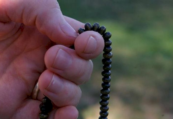 Салауат айтып, сауапқа кенелетін ай