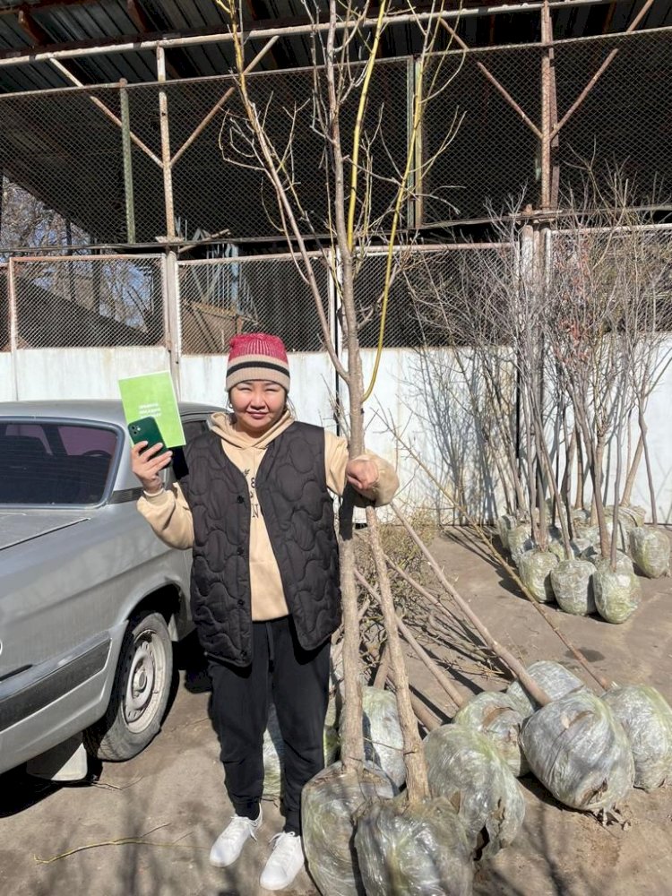 Алматыда «Жасыл аула» науқаны басталды 