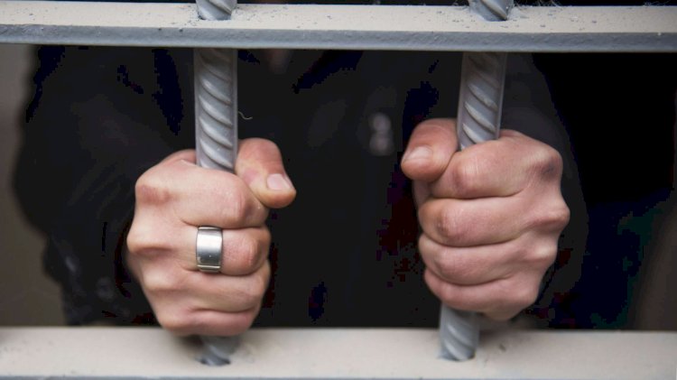 Сириядан келген содыр сотталды