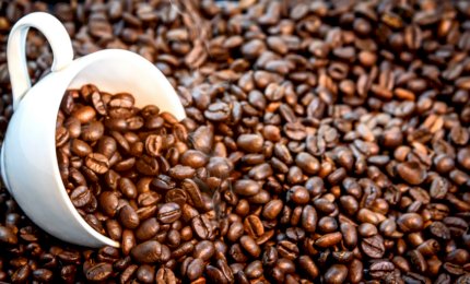 Әлемде кофе қымбаттады