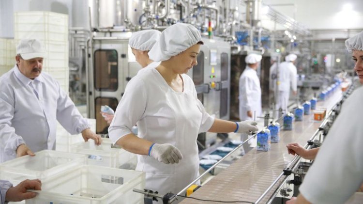 Еліміздің фермерлері сүт өндірудегі біліктілігін арттырады