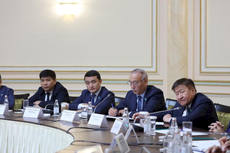 Сенаторлар Президент тапсырмаларының іске асыру барысын талқылады