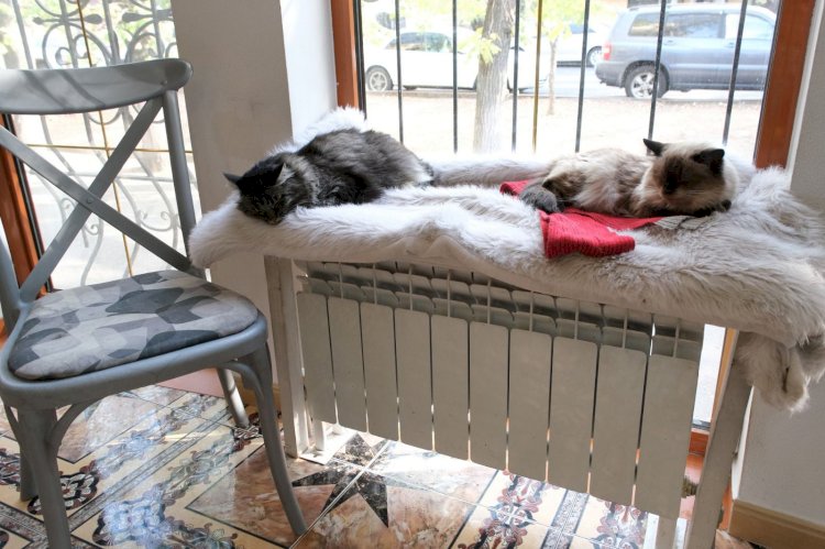 Алматының тұрғын үйлеріне жылу кезең кезеңімен беріле бастады