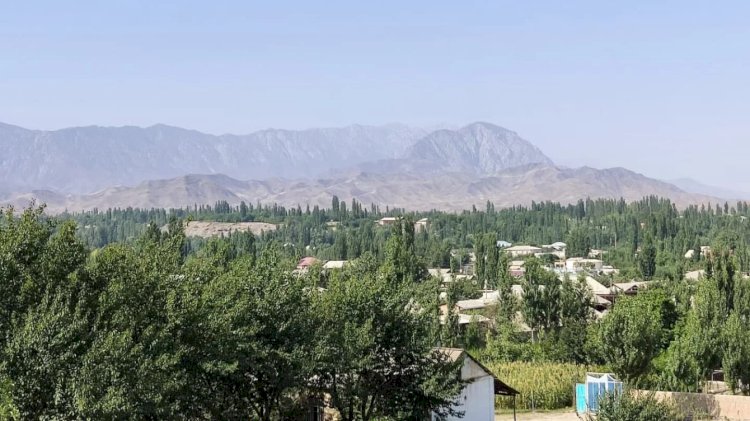 Шекарашылар шектен шықты