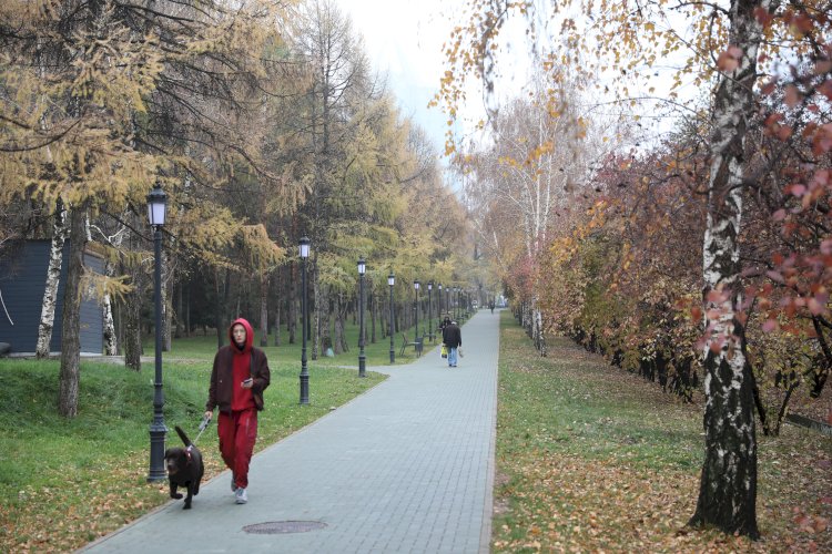 Еліміздің екі қаласында ауа сапасы нашарлайды