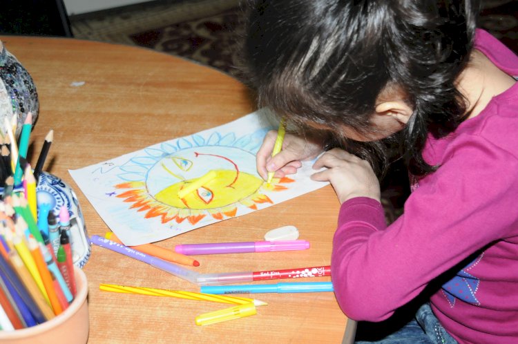 Үкіметте тұрмыстық зорлықтың алдын алу мәселесі қаралды