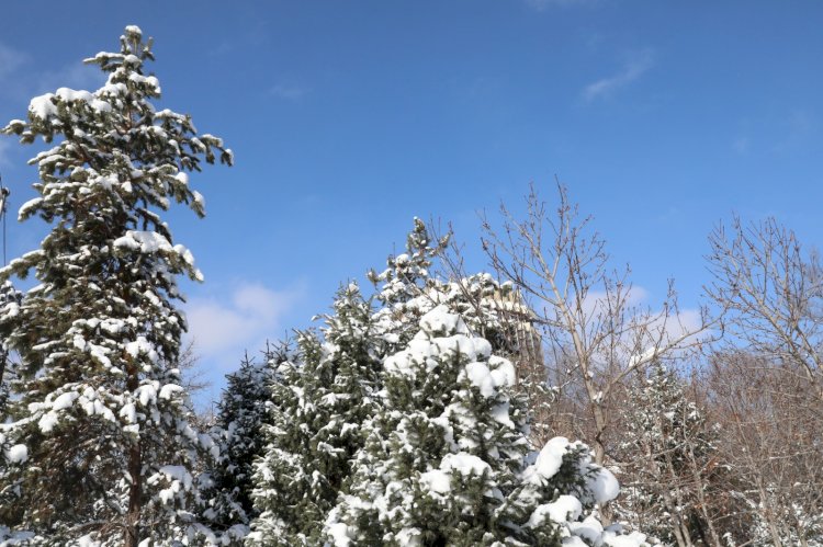 Биылғы қыс жылы болады