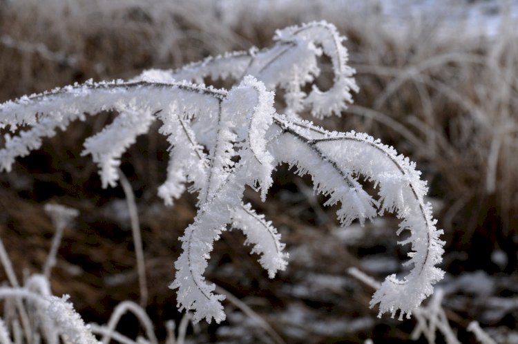 Жексенбіге жасалған ауа райы болжамы: жаңбыр соңы қарға ұласады
