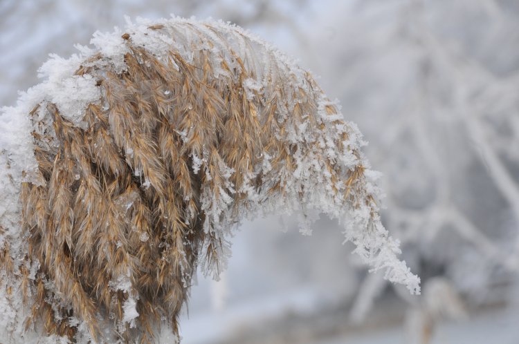 25 қазанға арналған ауа райы болжамы
