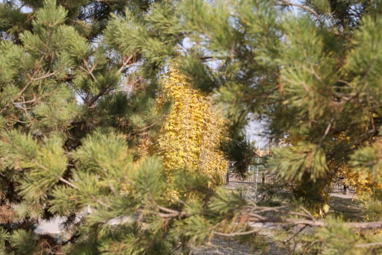 Бүгін еліміздің басым бөлігінде жауын-шашынсыз ауа райы болады