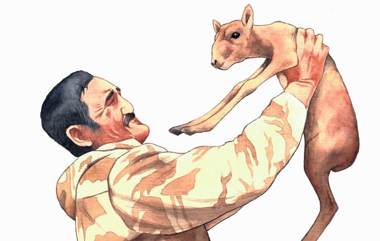 Жез киік, біздің жаққа қалай келдің?..