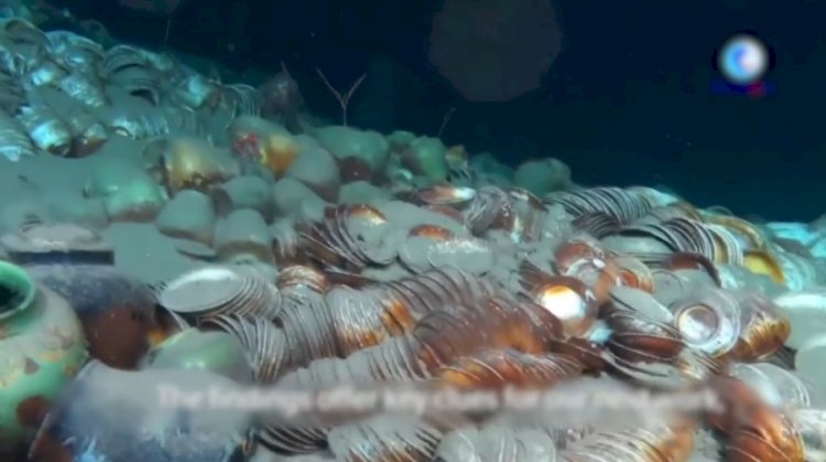 Археологтар теңіз түбінен аса бағалы бұйымдар тапты