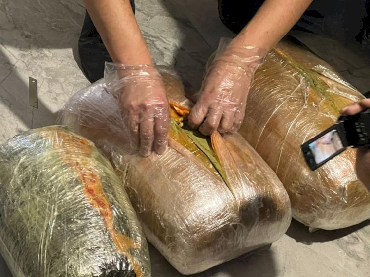 Есірткі тасымалымен айналысатын топ құрықталды