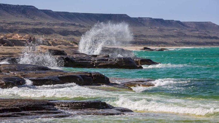 Қазақстанда жаңа институт құрылады