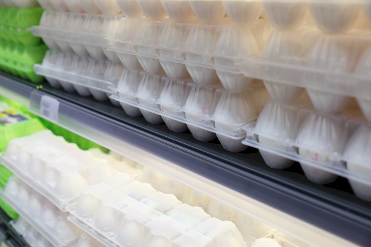 Жыл басынан бері жұмыртқа бағасы 14%-ке өскен