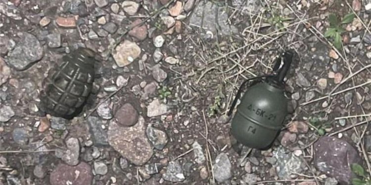 Алматы облысында гранаталар қоймасы табылды