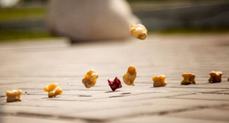 17 қарашада еліміздің барлық мектептерінде бір мезгілде ұлттық ойындар челленджі өтеді