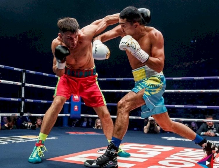 Мейірім Нұрсұлтанов  Ташкентте Хулио Аламосқа қарсы жекпе-жекке шығады