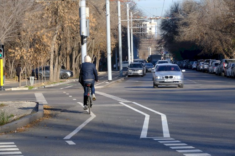 Алматыда жаңа велосипед жолағы пайда болды