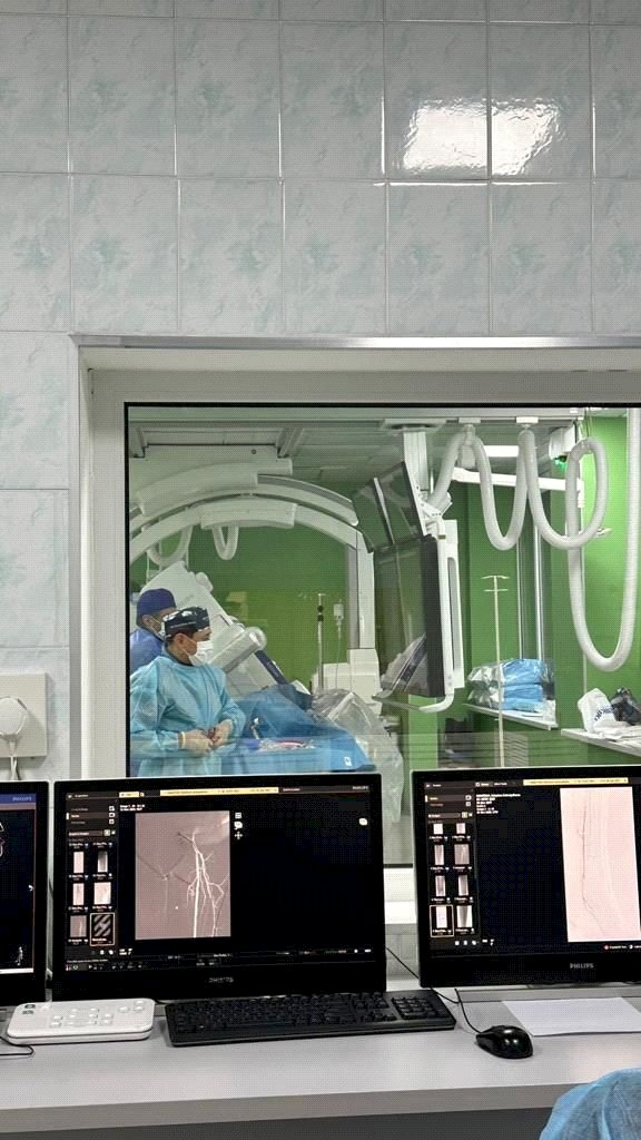 Бүйрек емдеудің инновациялық тәсілі