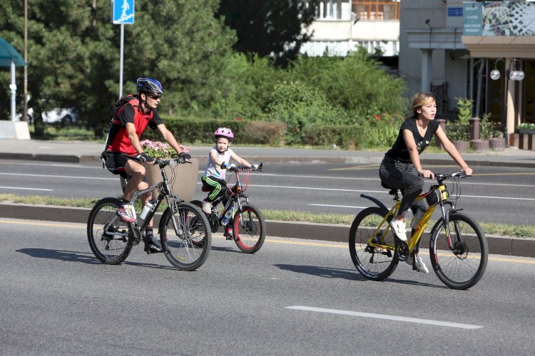 Алматыда 2023 жылы 920 мыңнан астам қала тұрғыны спорттық іс-шаралармен қамтылады