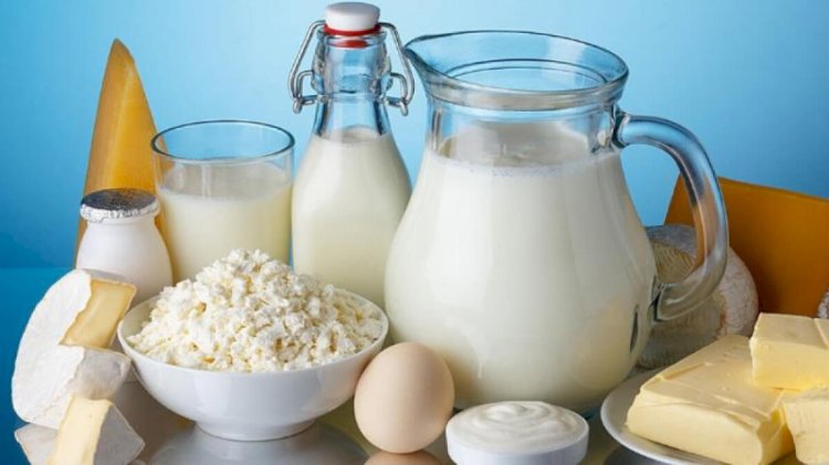 Елімізде сүт өндіретін 65 жаңа кешен салынады