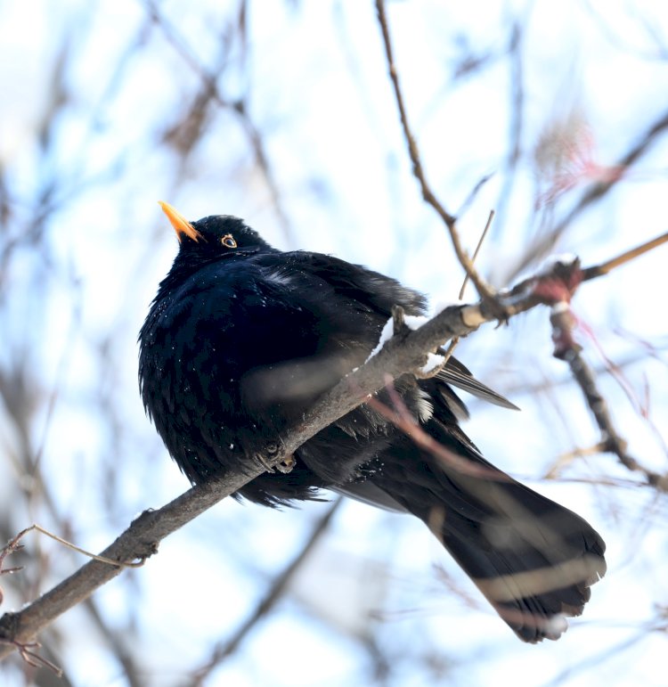 14 желтоқсан күні ауа райы қандай болады?
