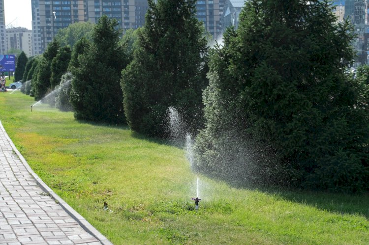 Алматыда жасыл желекті автосуарумен қамту 4 есеге аса ұлғайды